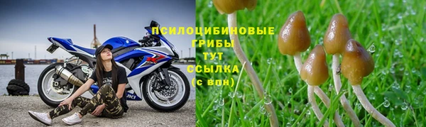 дмт Балабаново
