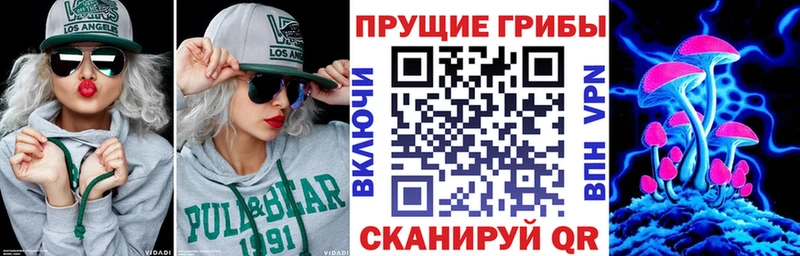 Галлюциногенные грибы прущие грибы закладки Кумертау